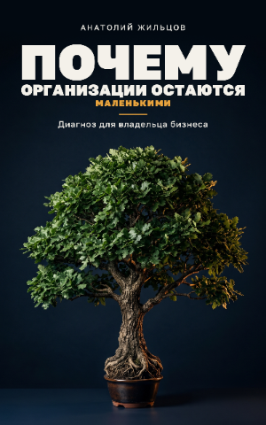 Обложка «Почему организации остаются маленькими»